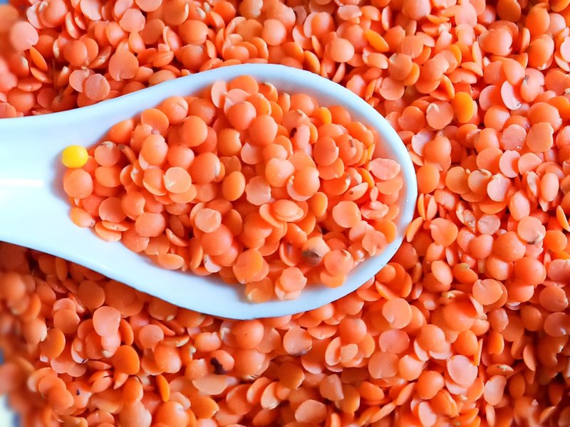 Riz aux lentilles corail poulet doux